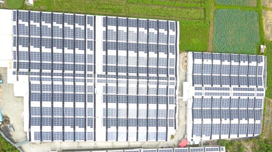 彥廷農場1162kWp的太陽能光電有機農棚成功併網發電